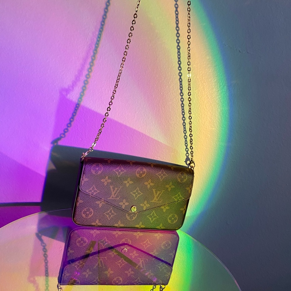 Louis Vuitton FÉLICIE POCHETTE purse